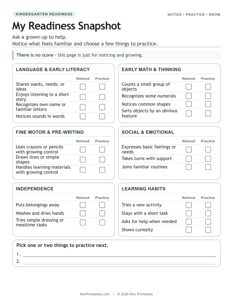 Kindergarten readiness snapshot worksheet preview with notice and practice checkboxes