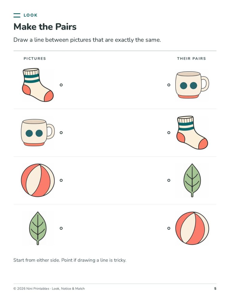 Preschool Matching Worksheets: Look, Notice & Match preview 1