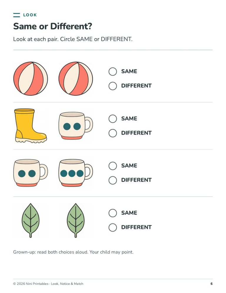 Preschool Matching Worksheets: Look, Notice & Match preview 2