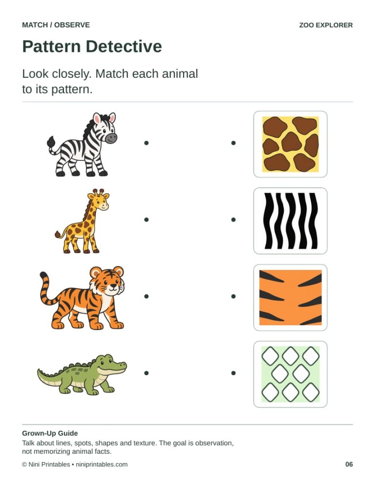 Zoo Preschool Worksheets & Activity Pack – Color Edition preview 2