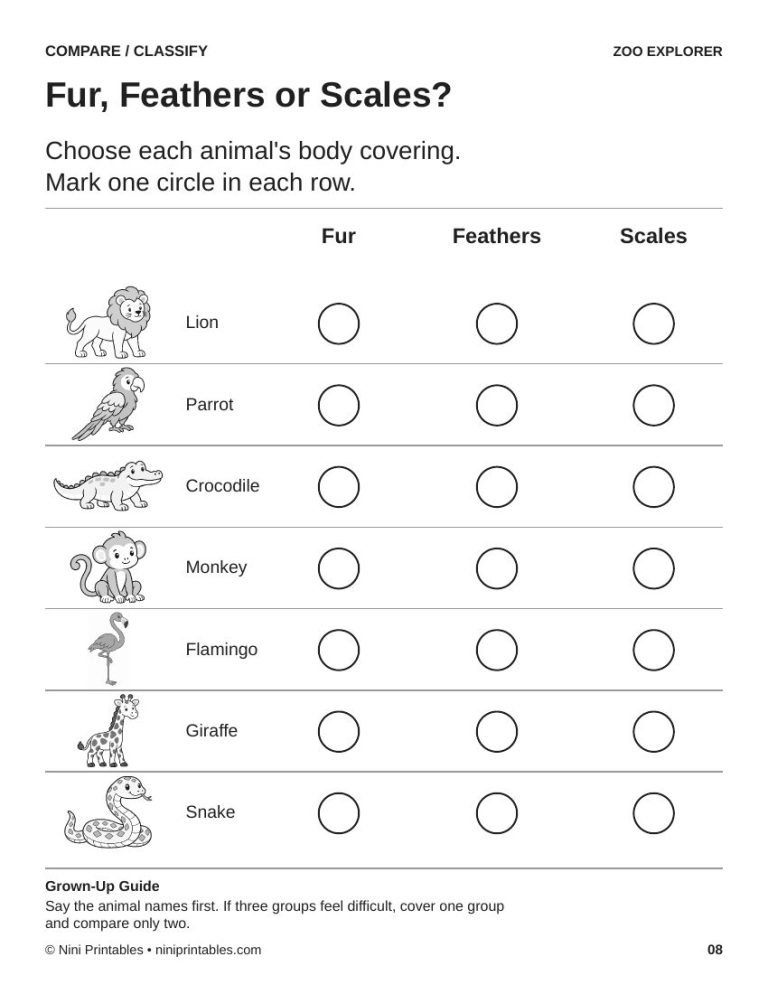 Zoo Preschool Worksheets & Activity Pack – Ink Saver Edition preview 3
